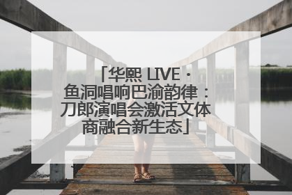 华熙 LIVE・鱼洞唱响巴渝韵律：刀郎演唱会激活文体商融合新生态